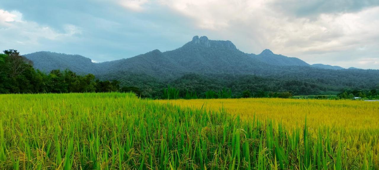 Вилла Pimpisa Garden พิมพิศา การ์เด้นท์ Khuang Kom Экстерьер фото
